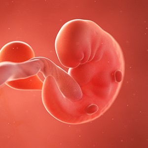 هفته ششم بارداری