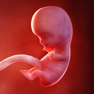 هفته نهم بارداری