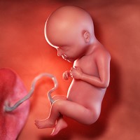 هفته بیست و نهم بارداری