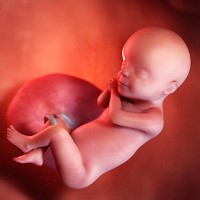 هفته سی‌ام بارداری