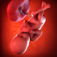 هفته سی‌ و نهم بارداری