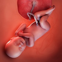 هفته چهلم بارداری